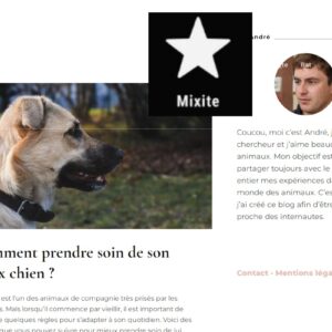 Mixite