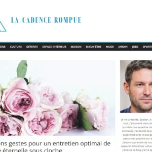 La Cadence Rompue