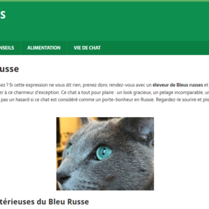 Site sur les chats bleus russes