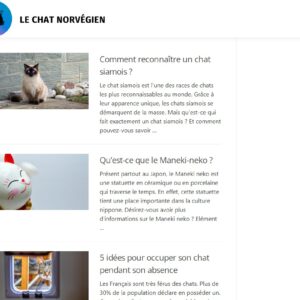 Le chat Norvégien
